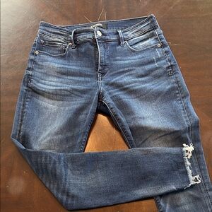 Express Indigo Skinny Jeans